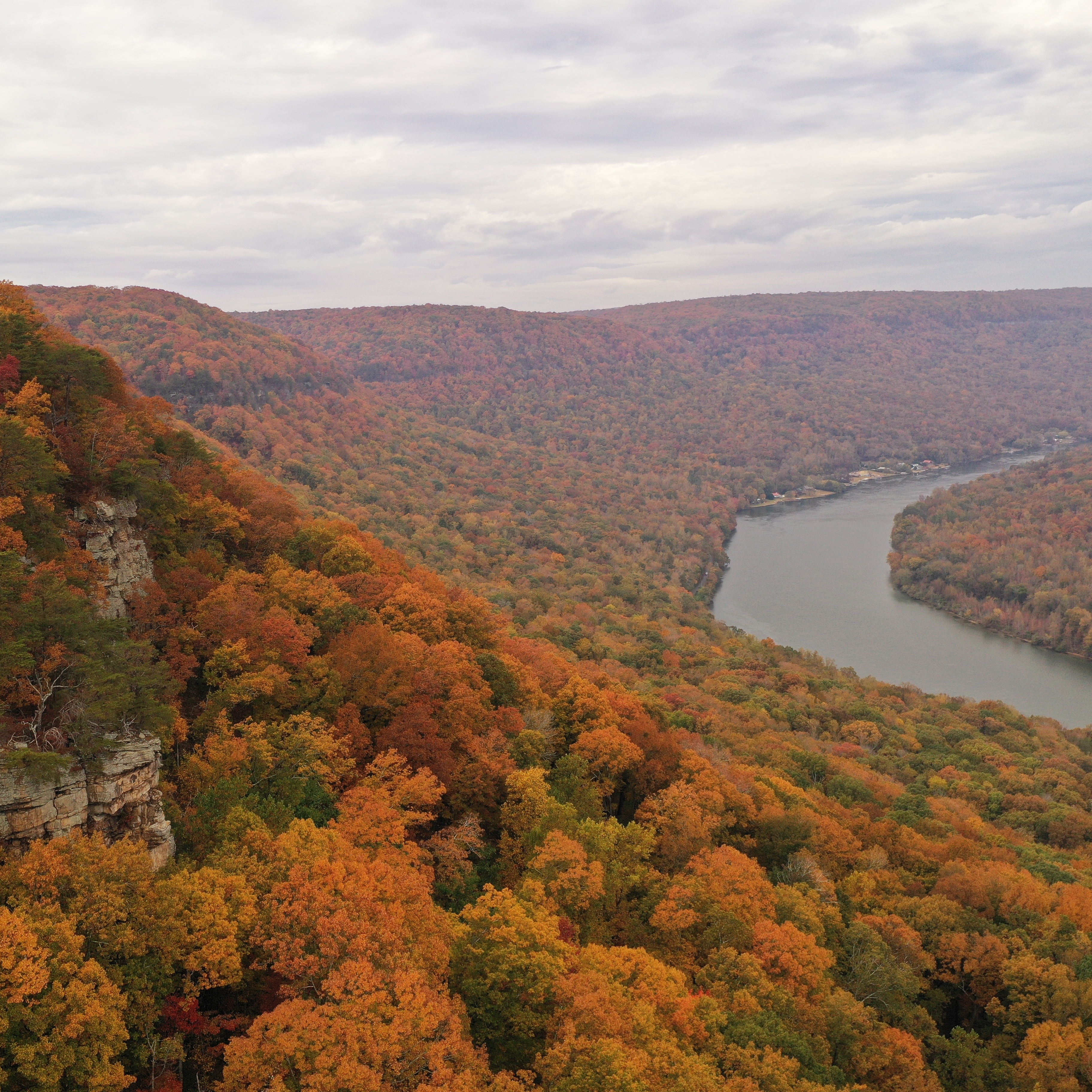 Fall Color Cruise-October 28 - logo